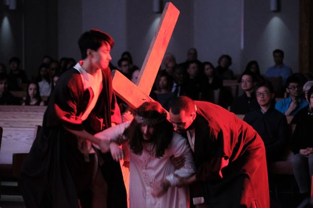 57407265_651412721979030_3487850594989768704_o